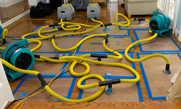 Professional Water Damage Repair technician working in Denham Springs, LA